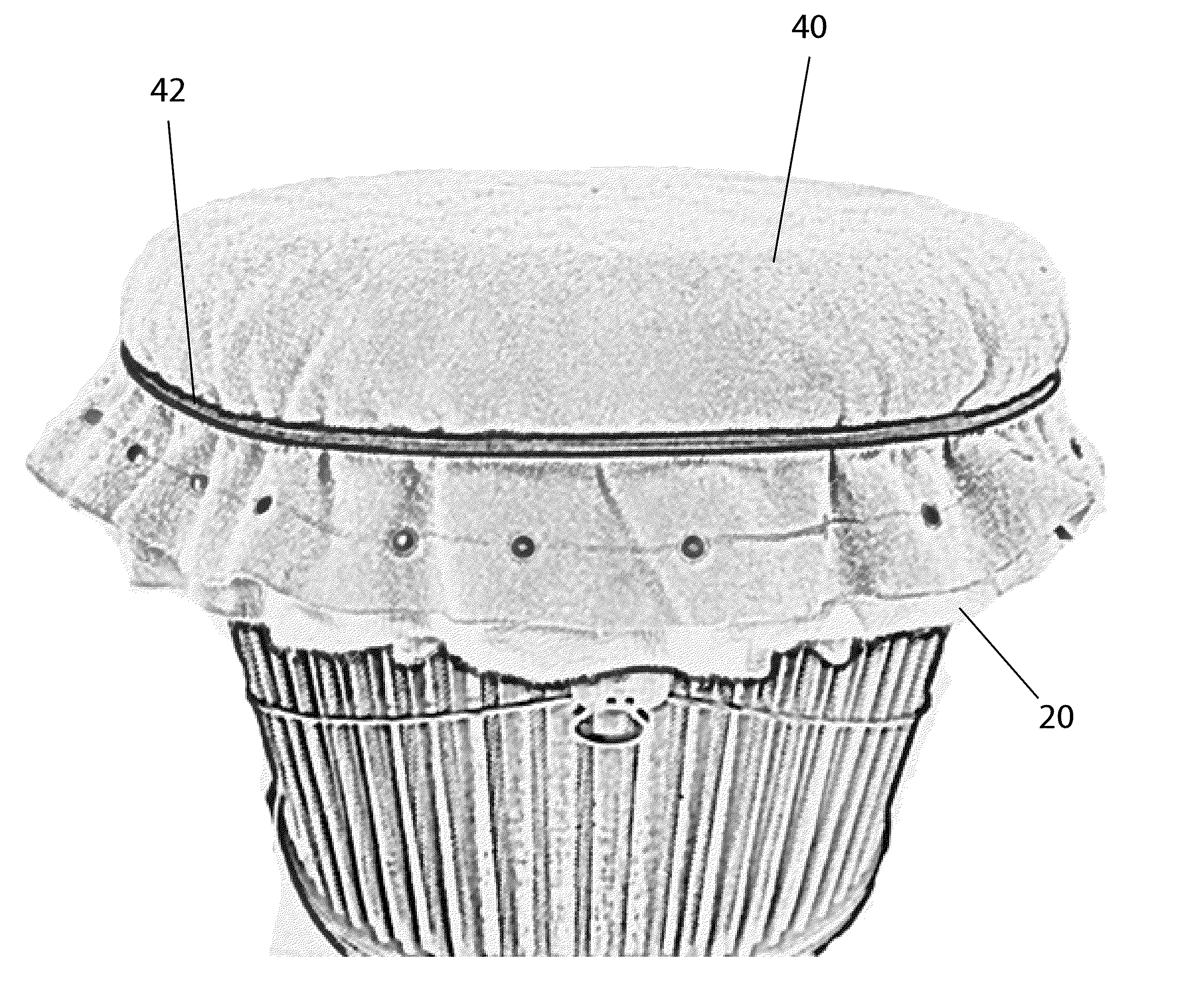 System and Apparatus for Adjusting the Tonal Output of a Membranophone