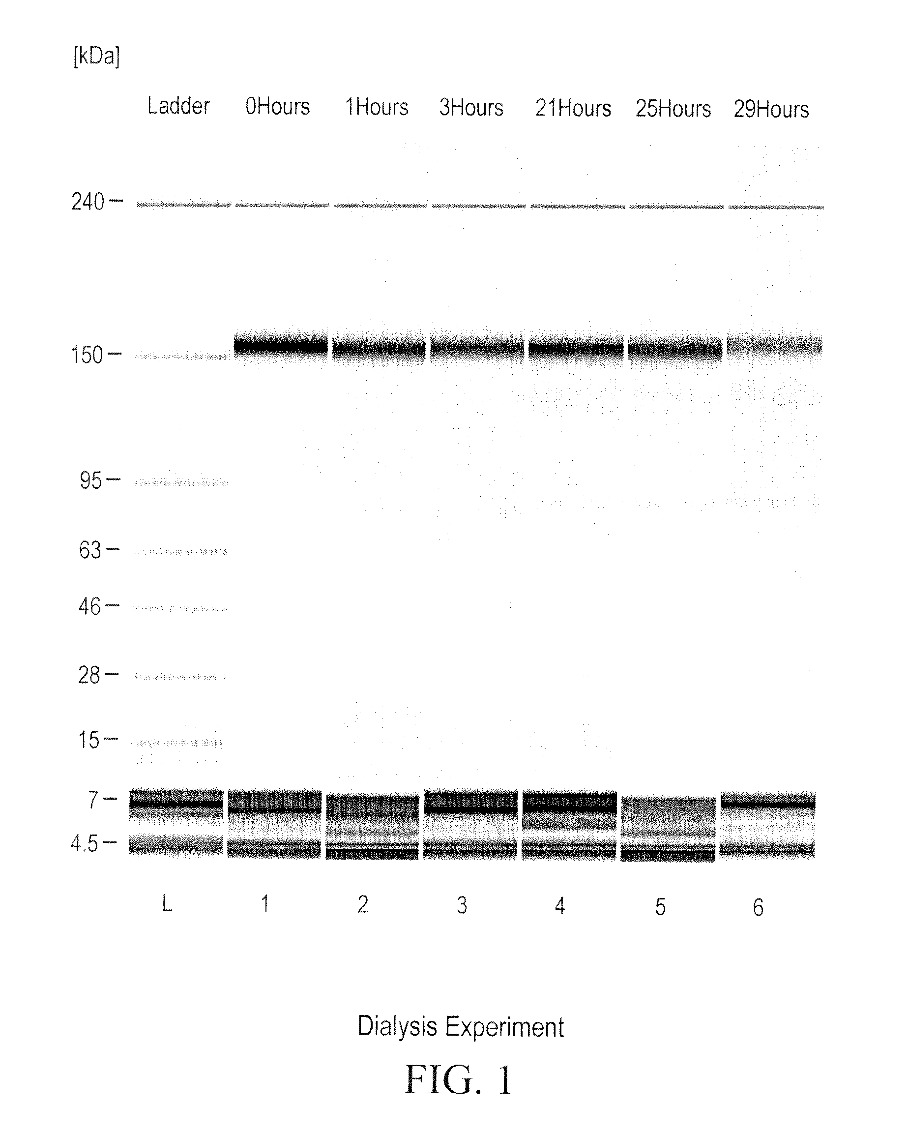 Prevention of disulfide bond reduction during recombinant production of polypeptides