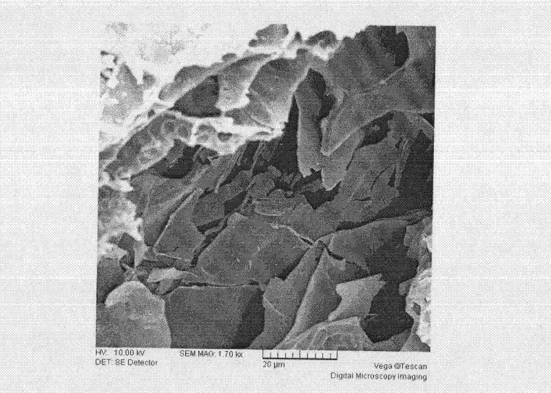 Biological carbonaceous filler and preparation method thereof