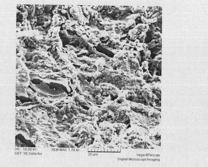 Biological carbonaceous filler and preparation method thereof