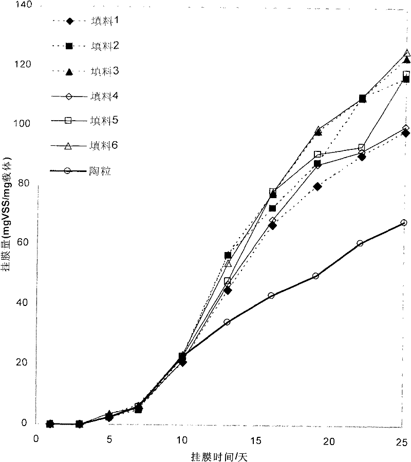 Biological carbonaceous filler and preparation method thereof