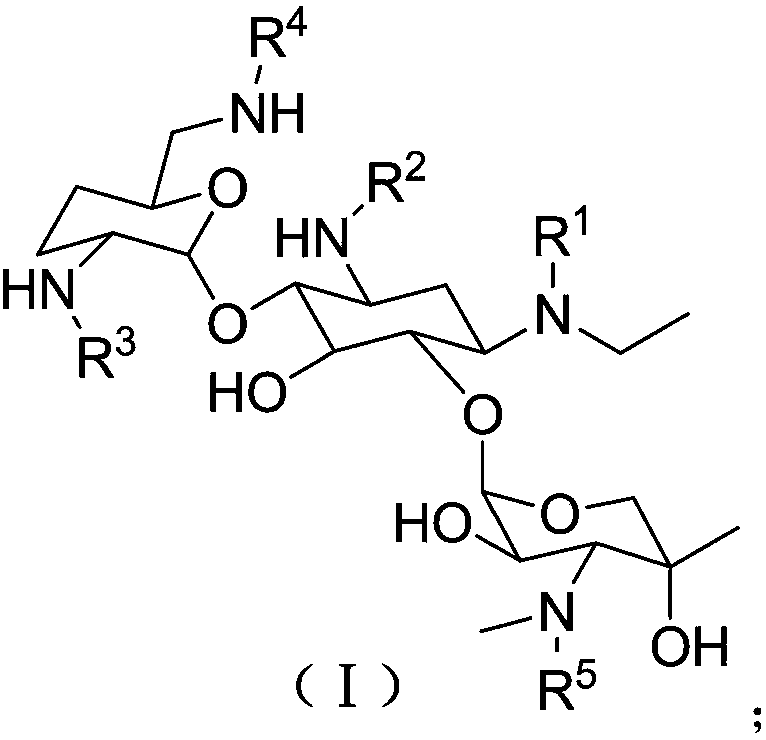 Etimicin derivative as well as preparation method thereof, pharmaceutical composition and application thereof