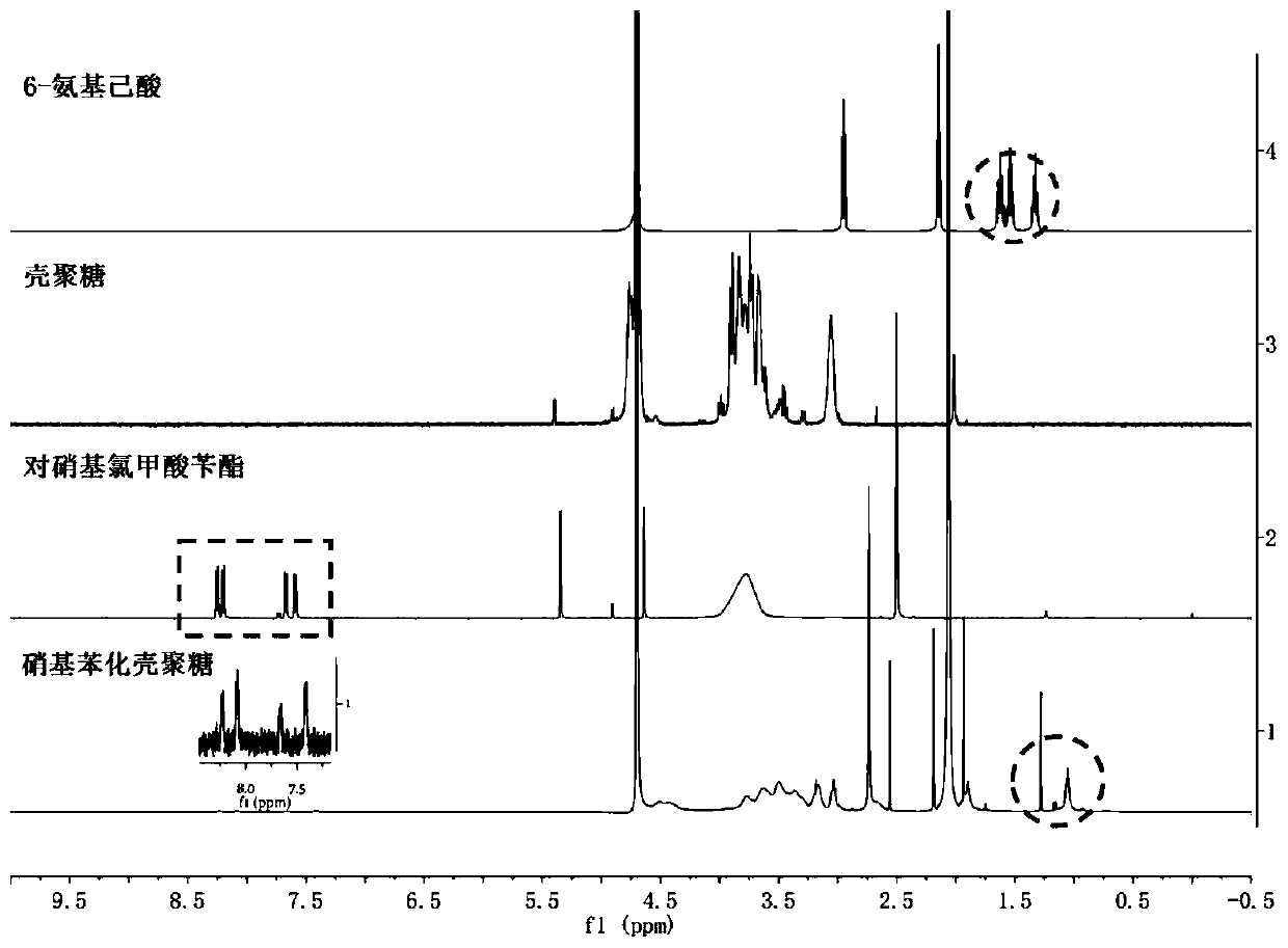 Hypoxia-sensitive nitrobenzenized chitosan and preparation method and application thereof