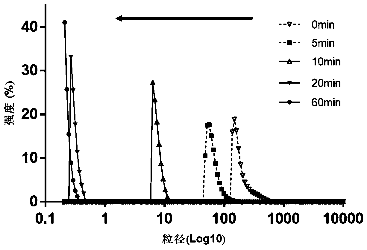 Hypoxia-sensitive nitrobenzenized chitosan and preparation method and application thereof