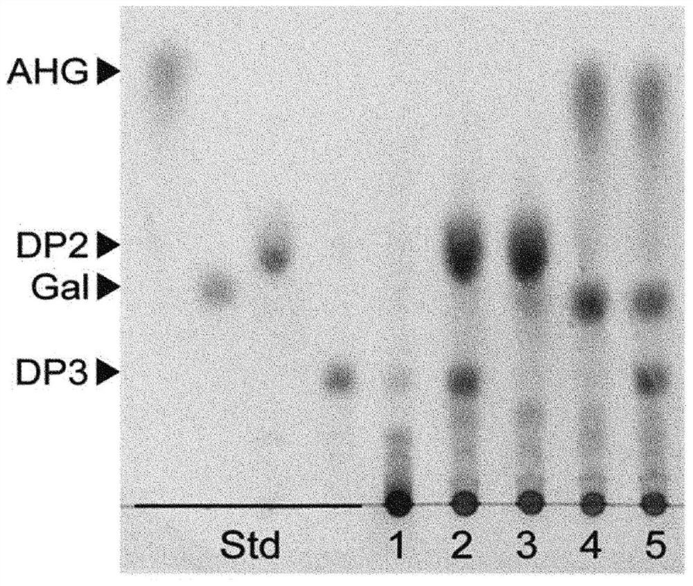 Method for increasing the yield of monosaccharide production in agar by using buffer pretreatment