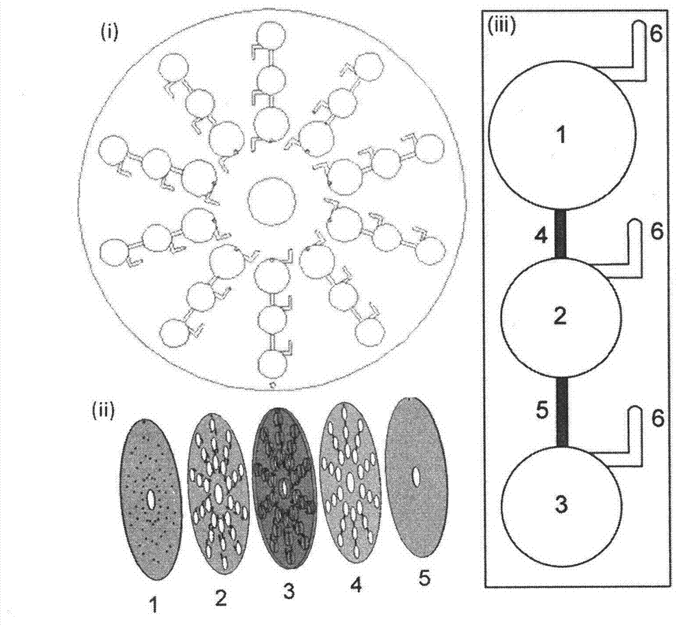 Centrifugal micro-fluidic chip for detecting pesticide residue and preparation method thereof