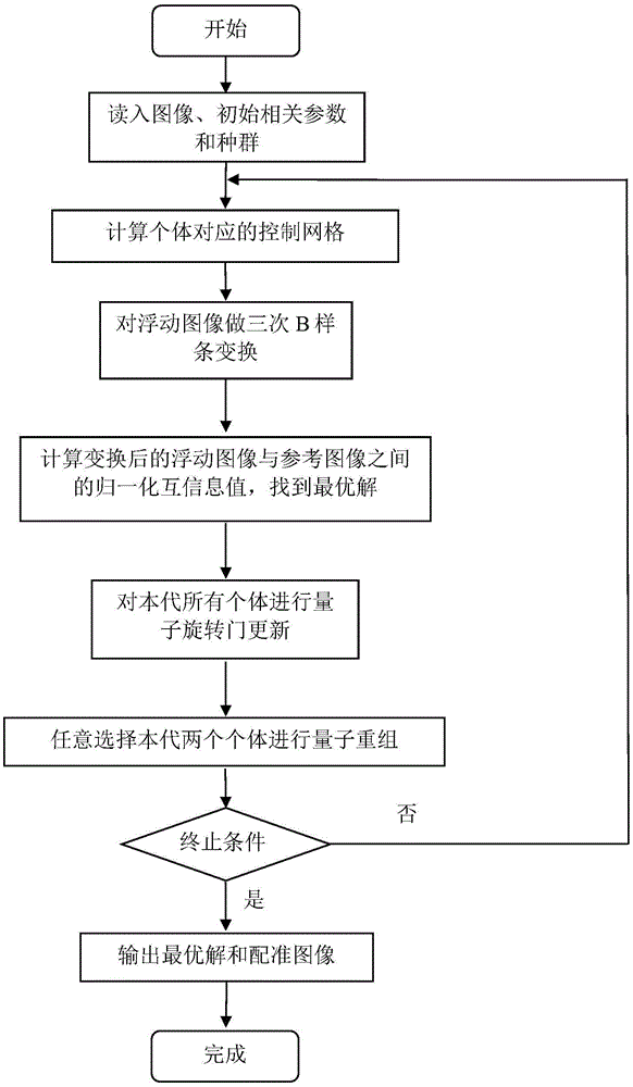 A medical image registration method based on quantum evolutionary computation and b-spline transformation