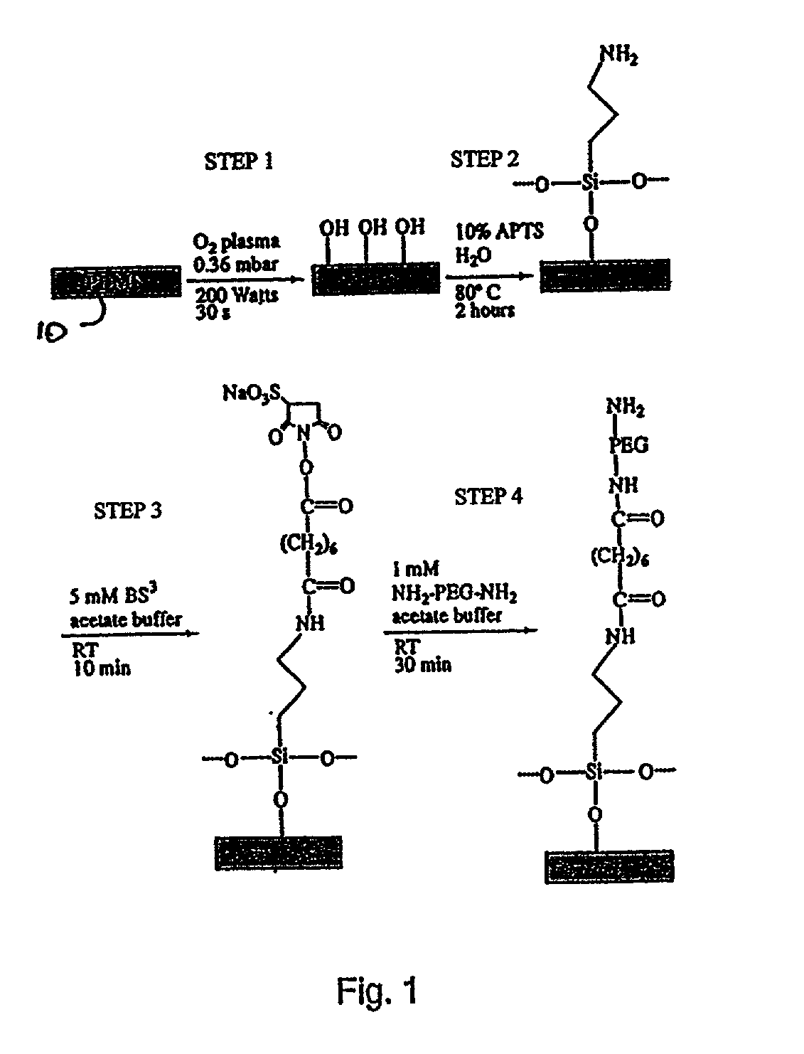 Silicone elastomer stamp with hydrophilic surfaces and method of making same