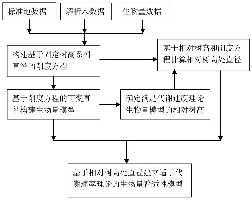 A biomass model prediction method and system based on tree metabolic rate theory