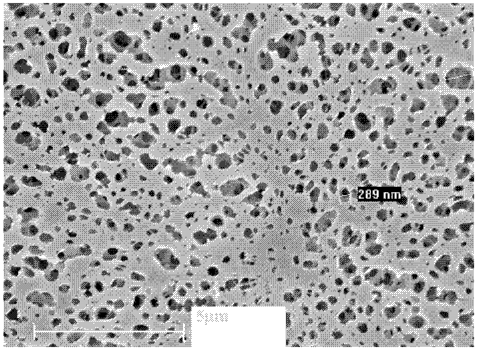 Structure control method of outer surface of polypropylene separation membrane