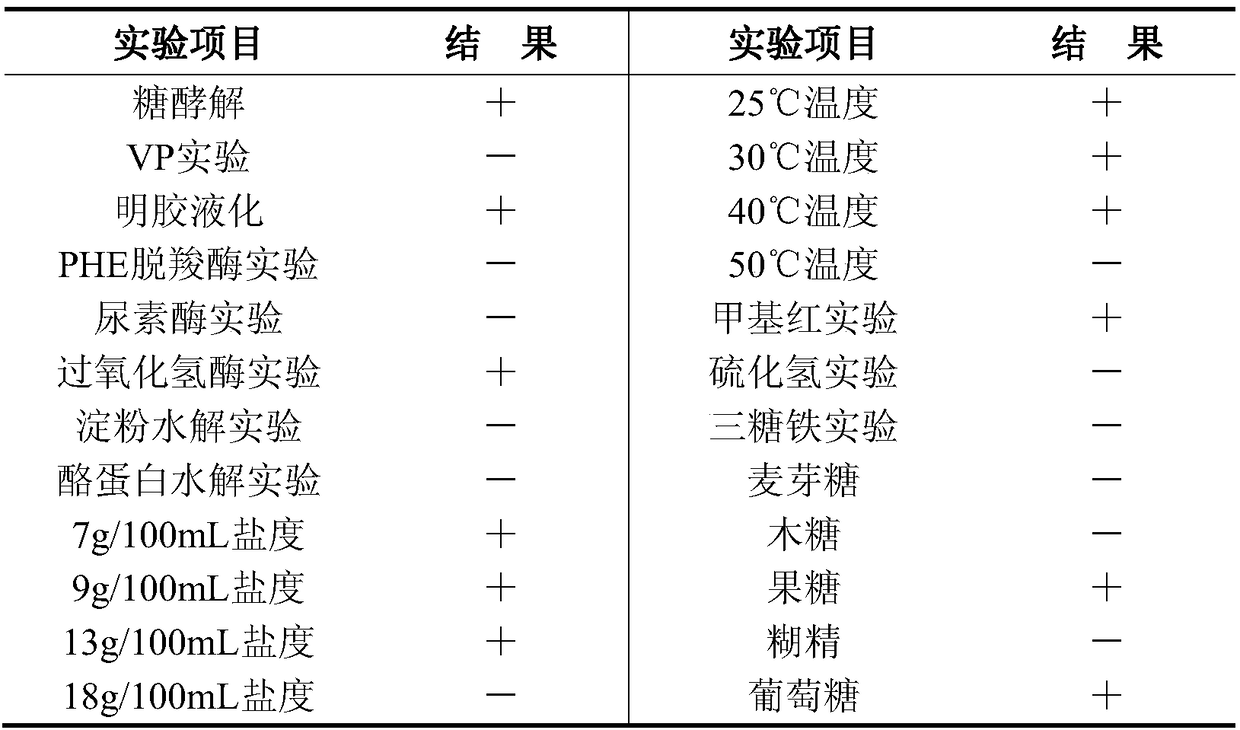 Exiguobacterium aurantiacum and application thereof in prevention and control of tomato root-knot nematode