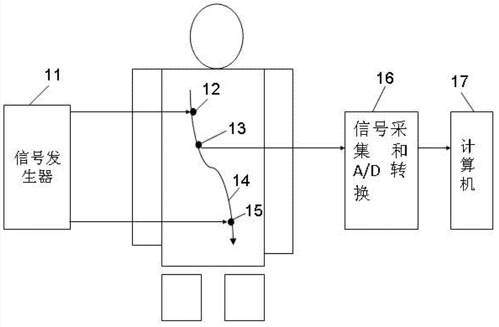 Human body meridian point positioning method based on genetic cluster