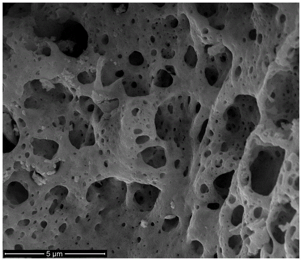 Method for preparing rare earth titanate nanocrystalline with controllable size through self-propagating combustion