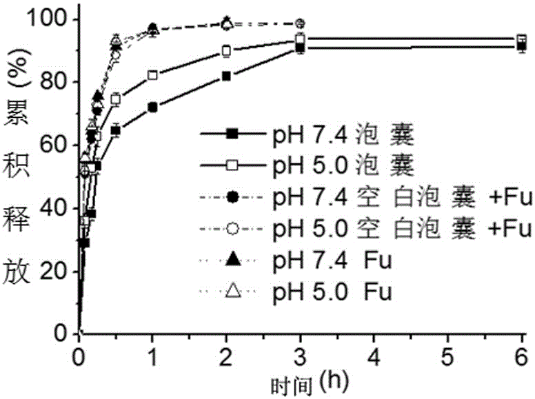 Multi-targeting antitumor composite preparation and preparation method thereof