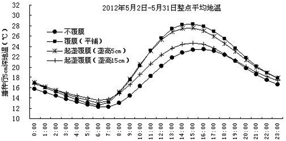 A kind of dryland corn micro-ridge mulching film sowing method in cold and cool area