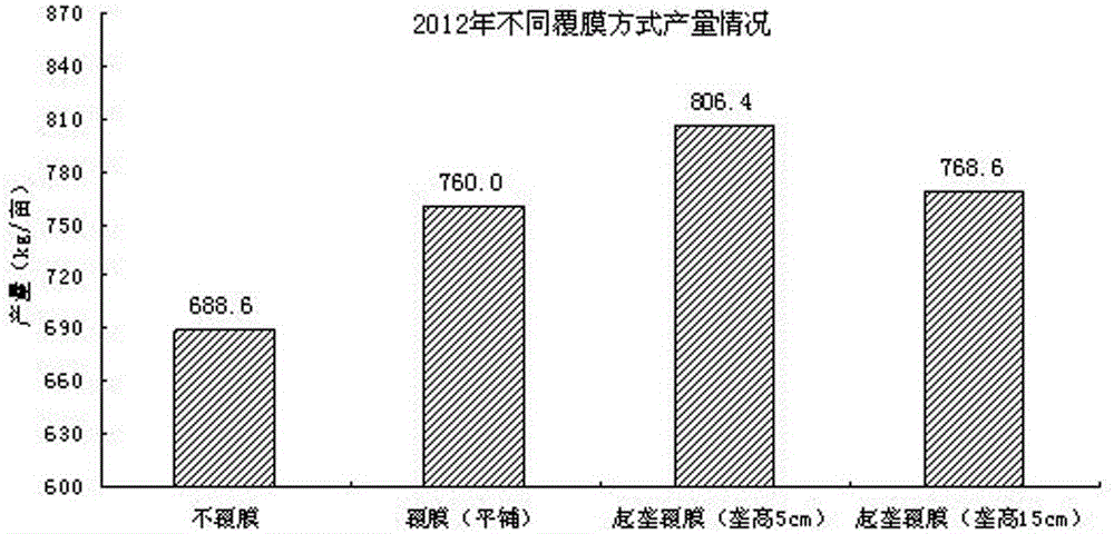 A kind of dryland corn micro-ridge mulching film sowing method in cold and cool area