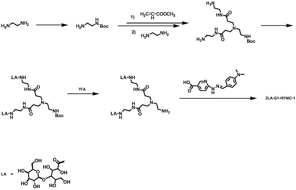 99mtc marked multivalence sugar fan-shaped dendrimer complex, application thereof, multivalence sugar fan-shaped dendrimer ligand and preparation method thereof