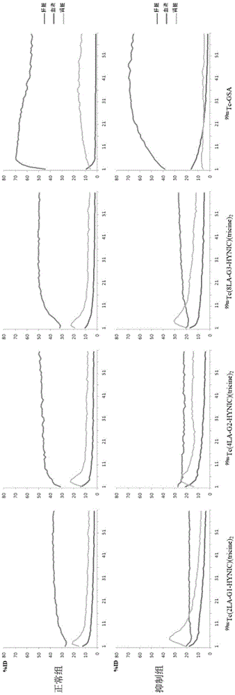 99mtc marked multivalence sugar fan-shaped dendrimer complex, application thereof, multivalence sugar fan-shaped dendrimer ligand and preparation method thereof