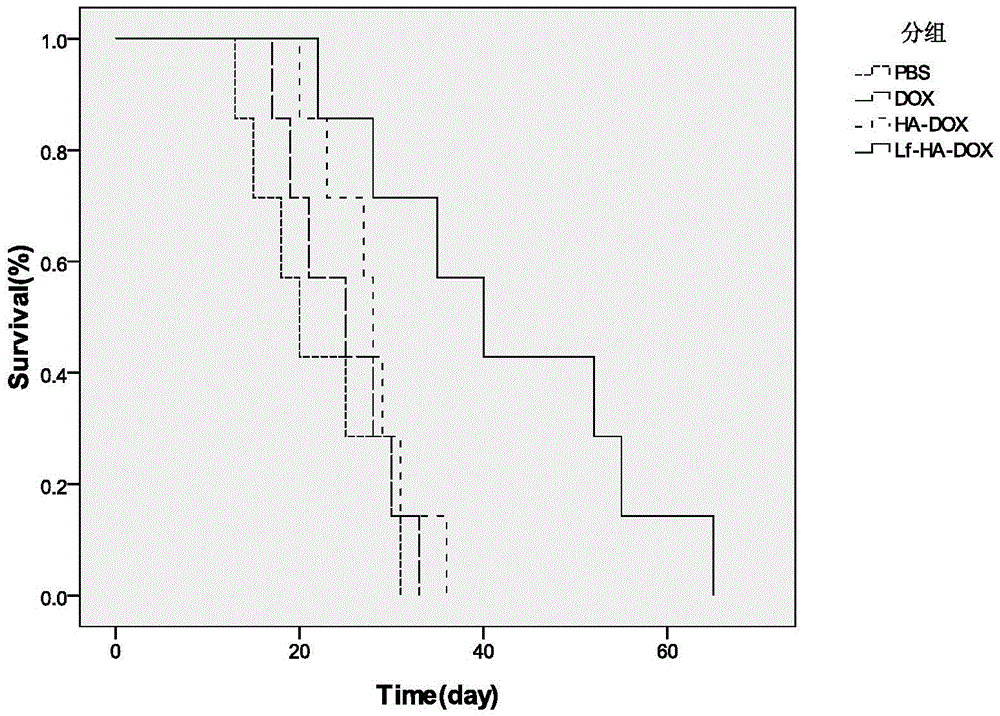 Lf-HA-DOX macromolecule prodrug compound, constructing method thereof and application of Lf-HA-DOX macromolecule prodrug compound to treating glioma