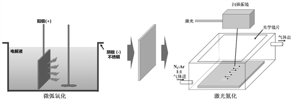 Method for preparing soft and hard alternate bionic coating on surface of medical titanium alloy by utilizing composite treatment of micro-arc oxidation and laser nitridation