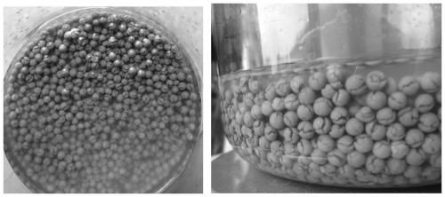 A modified zeolite and its composite adsorbent and its use