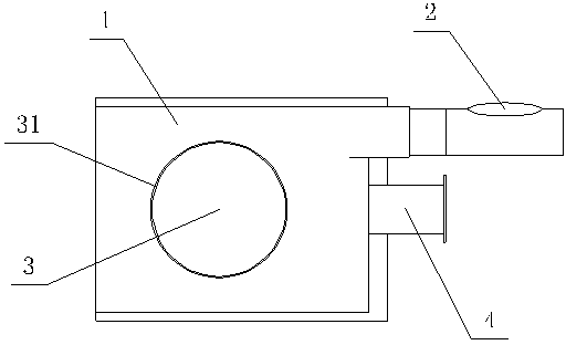 Combustor capable of laterally feeding biological particles, and working method thereof