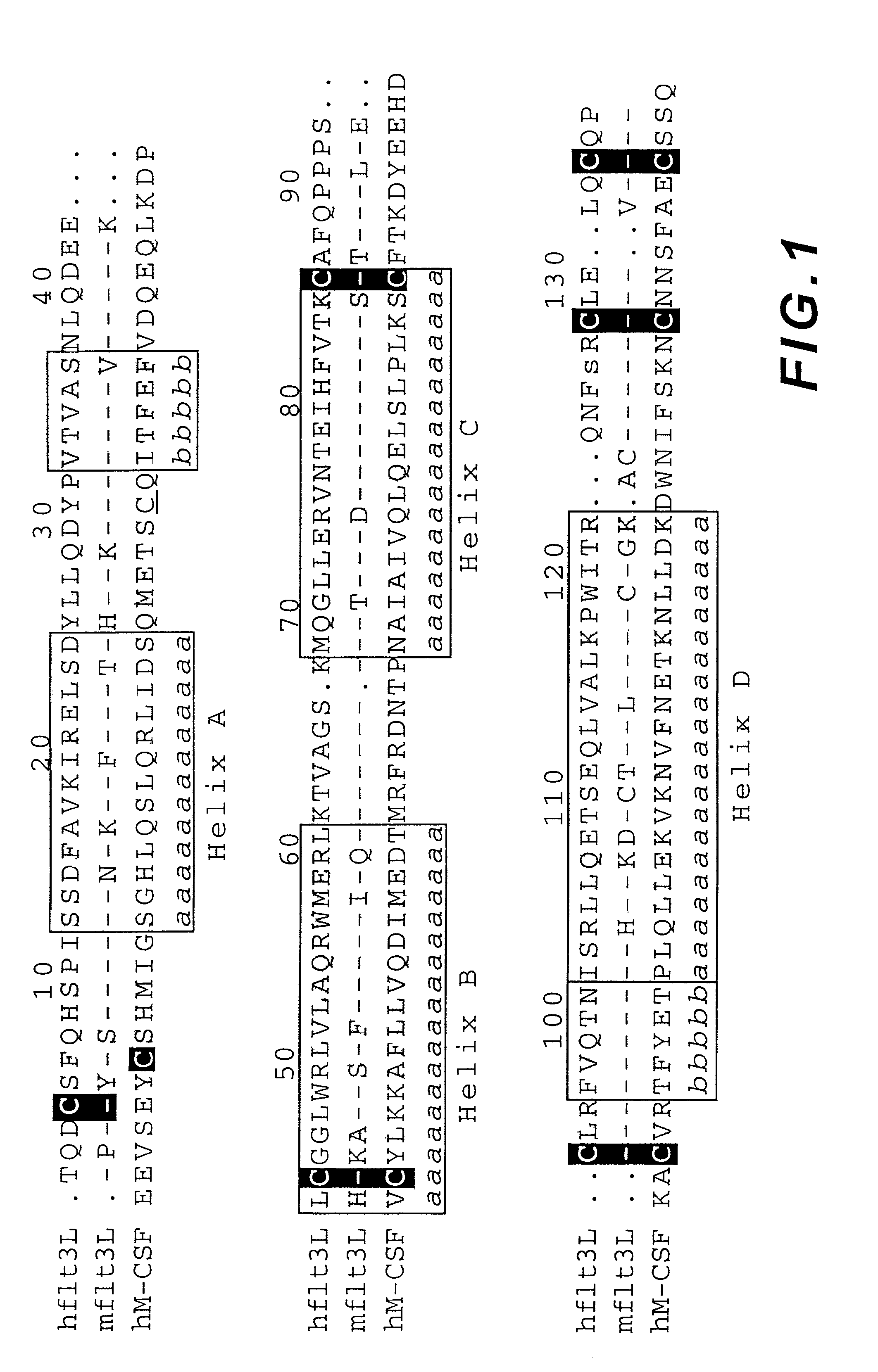 Methods of using mutant flt3-ligand polypeptides to induce cellular expansion