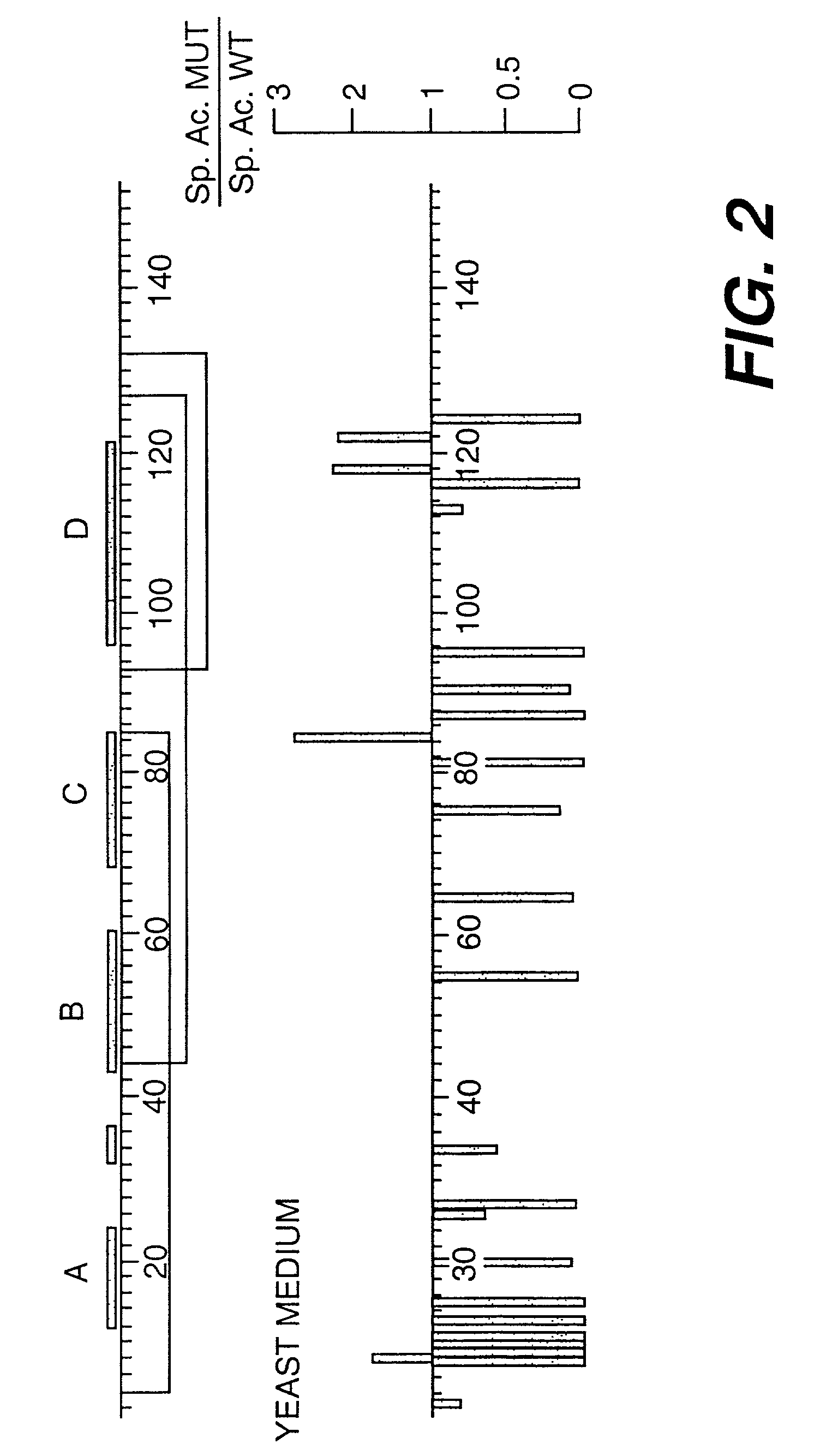 Methods of using mutant flt3-ligand polypeptides to induce cellular expansion