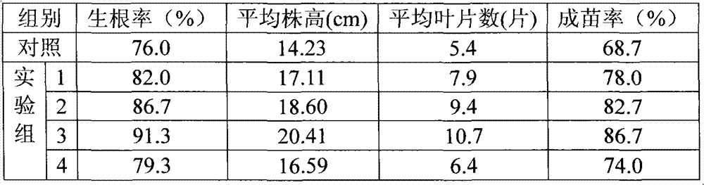 Method for boosting waxberry cuttage rooting