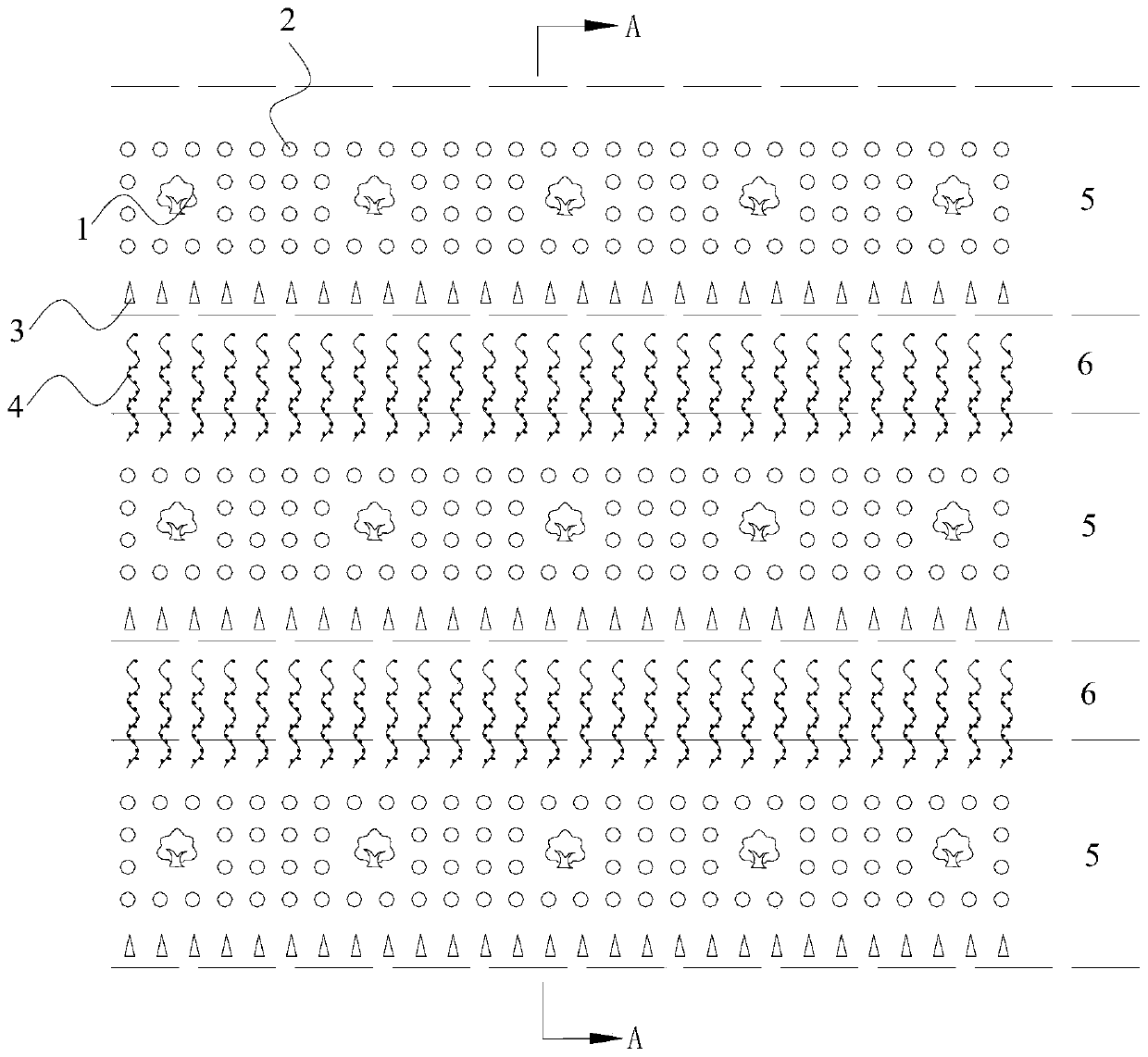 A biomimetic composite management method of rattan tea, woody oil crops and mountain rice