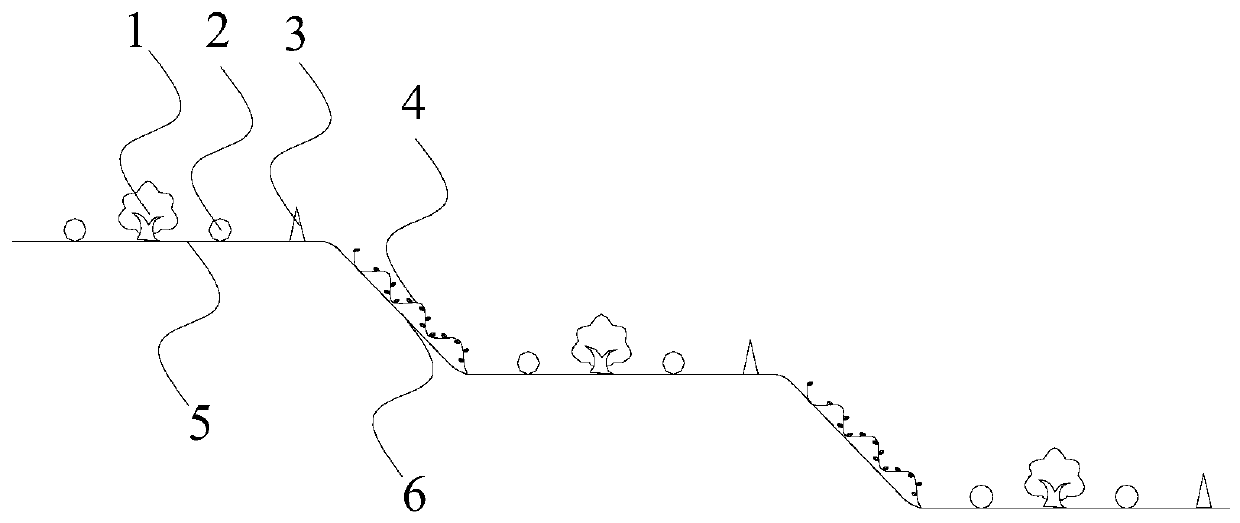 A biomimetic composite management method of rattan tea, woody oil crops and mountain rice