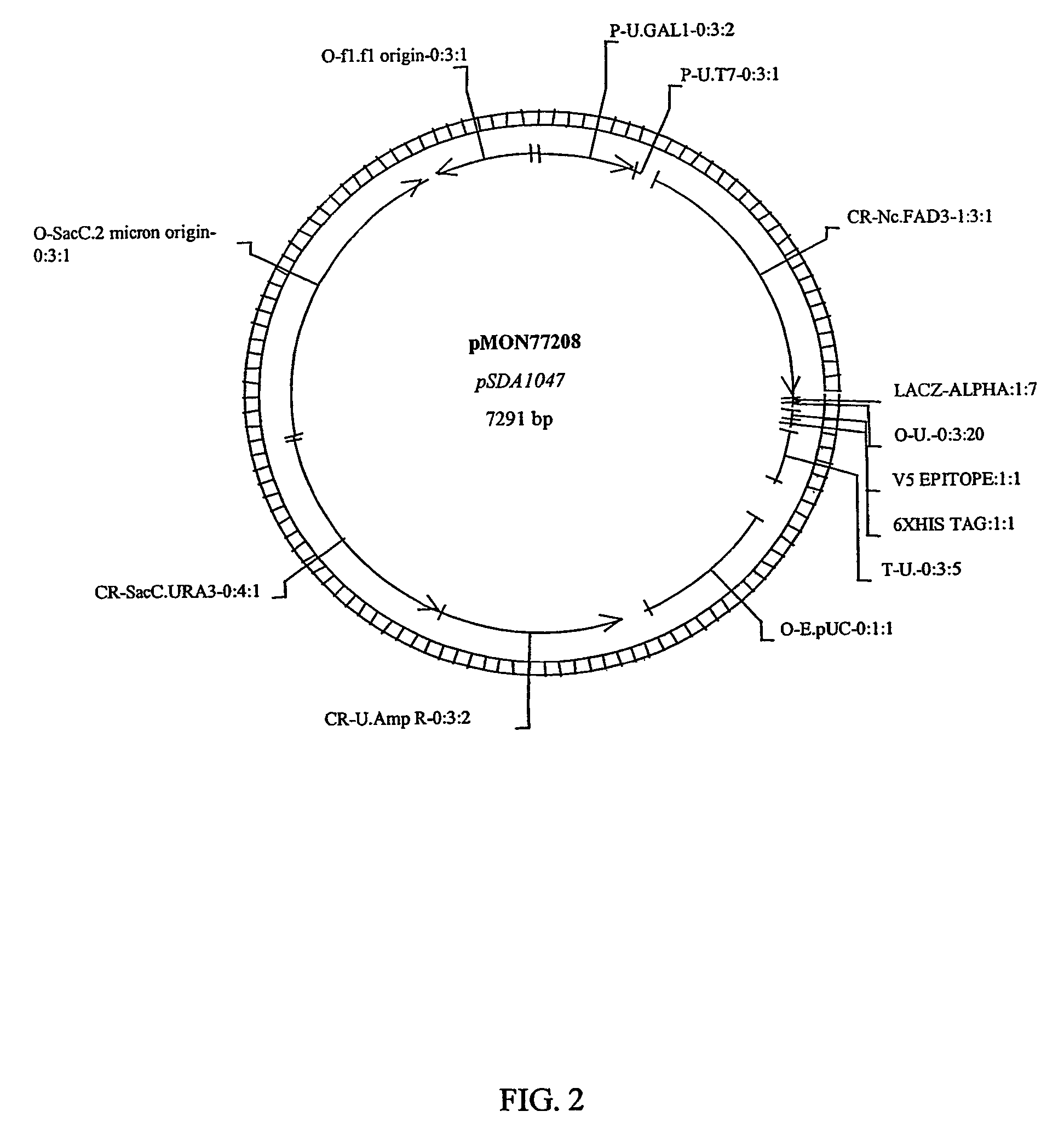 Fatty acid desaturases from fungi