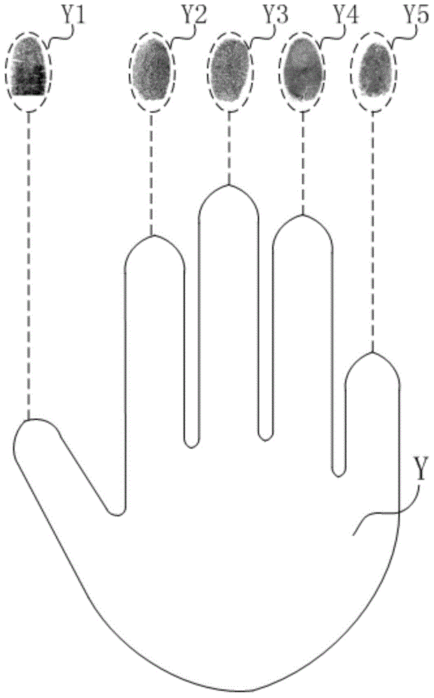 Fingerprint and password combined type verification method and device thereof