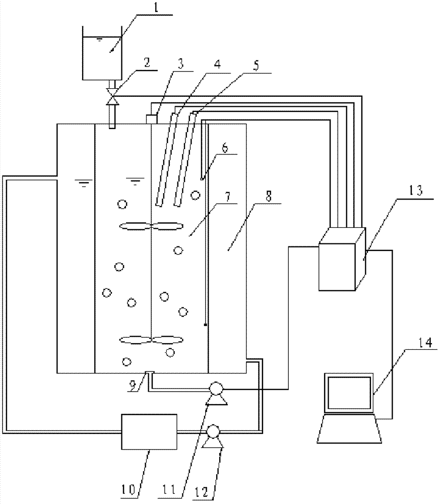 Autotrophic bacteria kinetic parameter measurement device and method