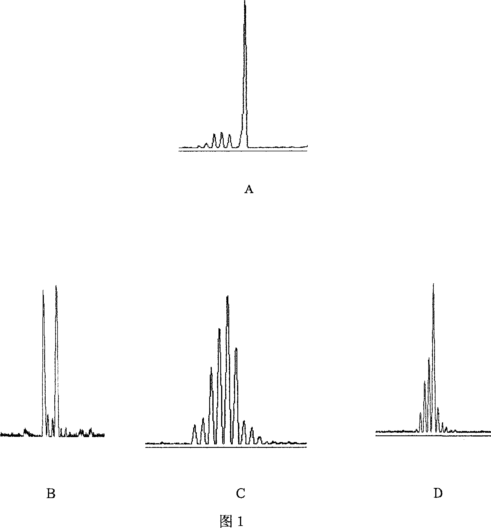 P gene order of diffused large B cell lymphoid tumor related antigen specific TCR V Alpha 23 subfamily