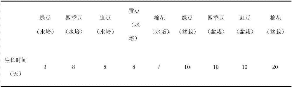 Method for breeding adelphocoris suturalis