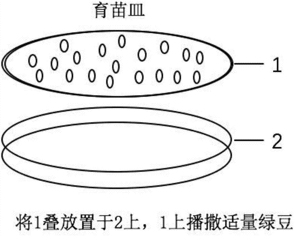 Method for breeding adelphocoris suturalis