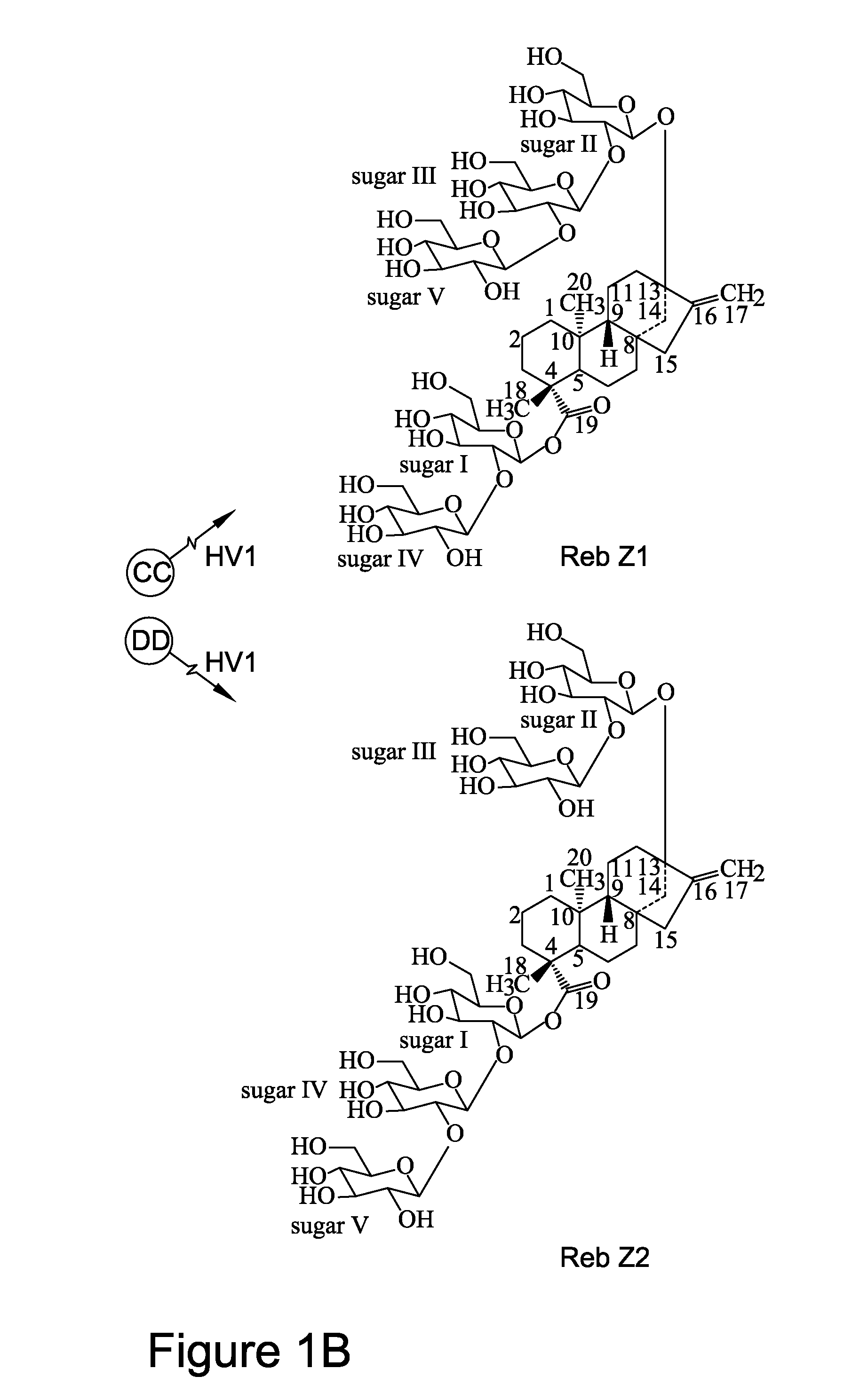 Recombinant production of steviol glycosides