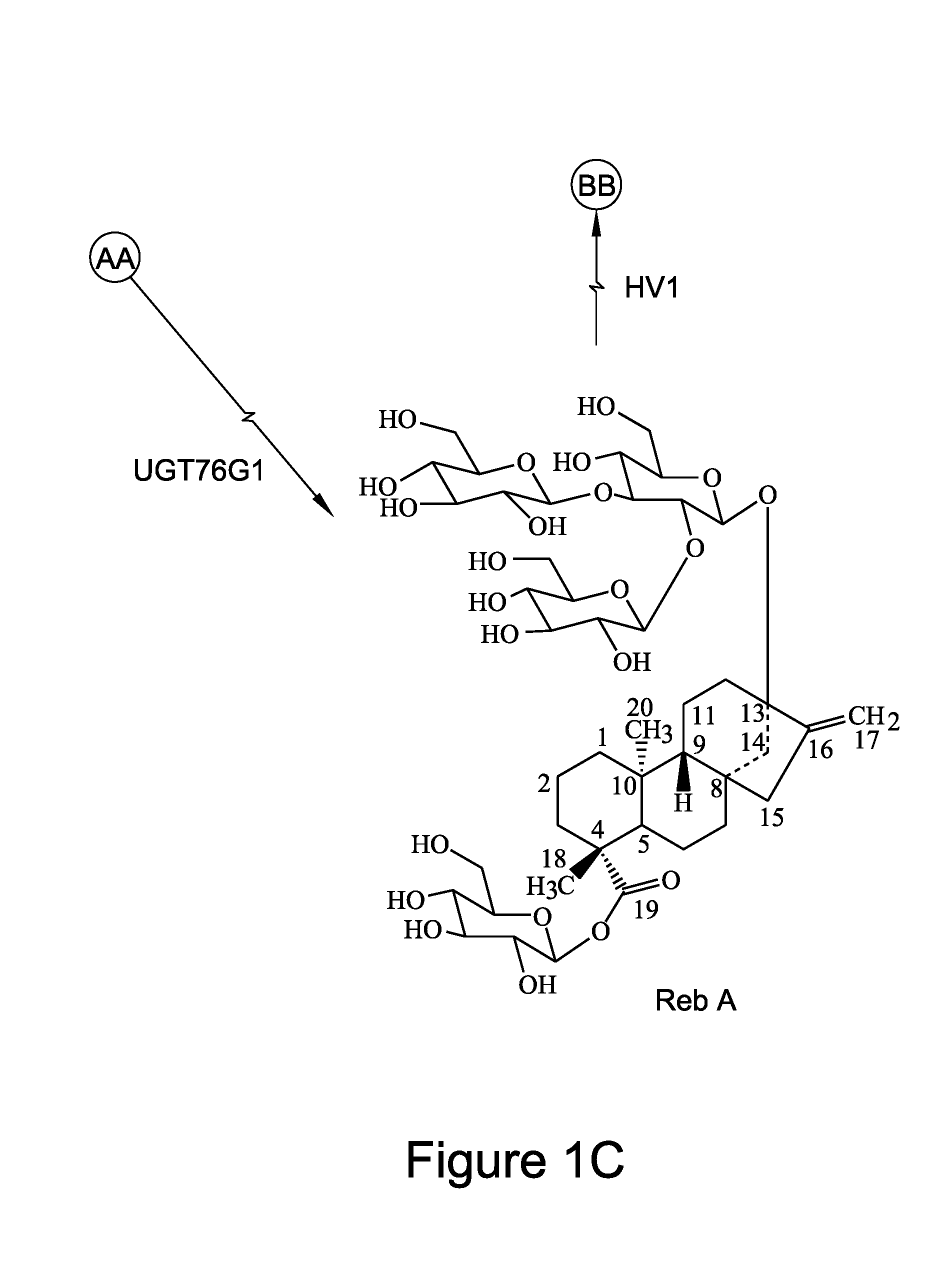 Recombinant production of steviol glycosides