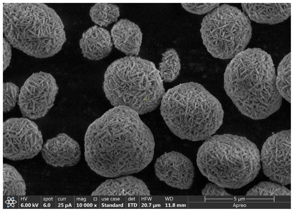 Double-layer -coated modified high-nickel cobalt-free single crystal ternary positive electrode material and preparation method thereof