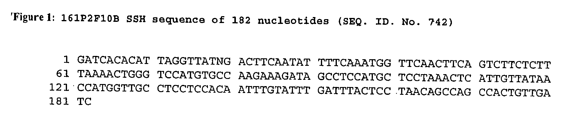 Nucleic acid and corresponding protein entitled 161P2F10B useful in treatment and detection of cancer