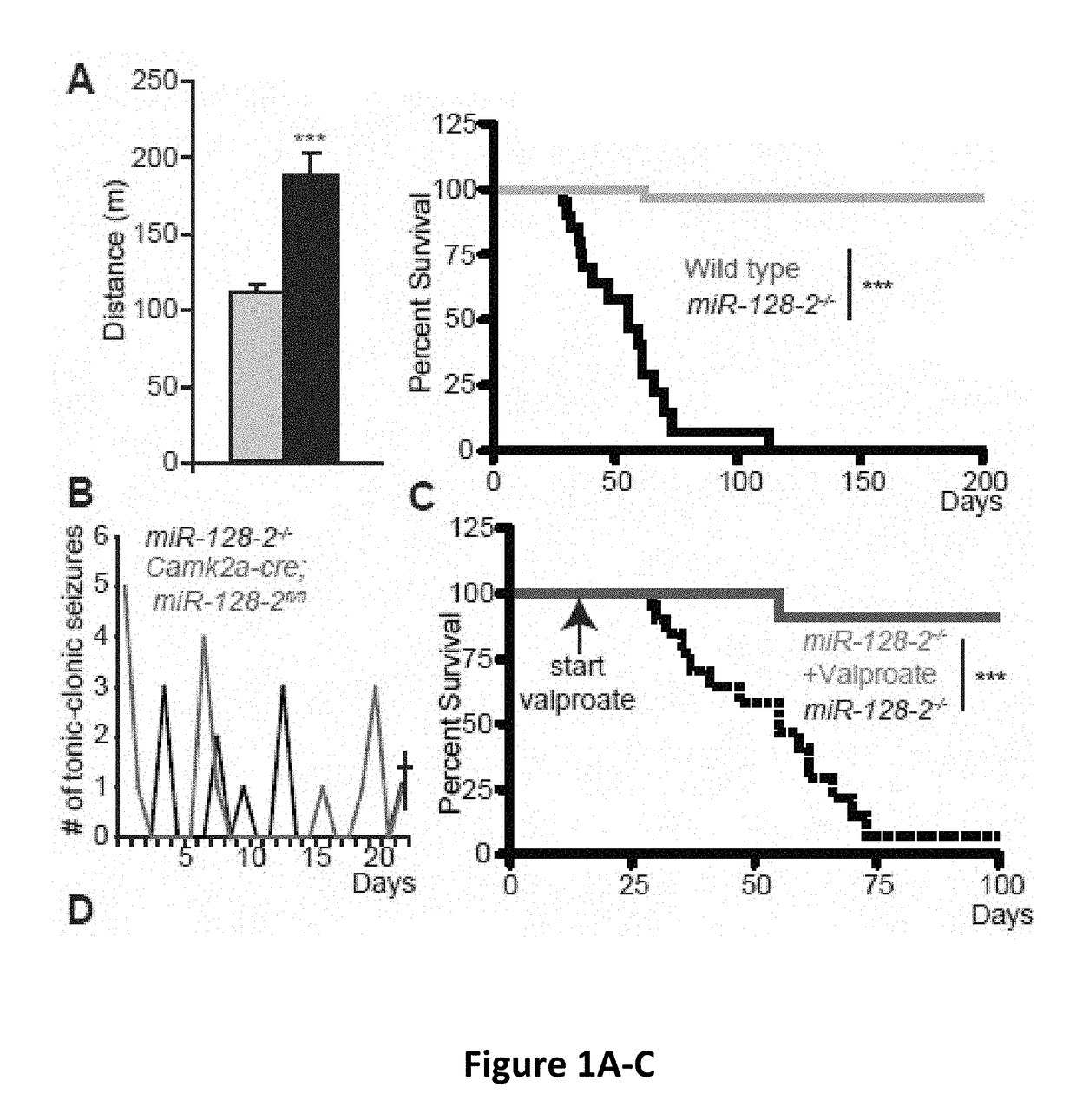 Compositions and methods for modulating neuronal excitability and motor behavior