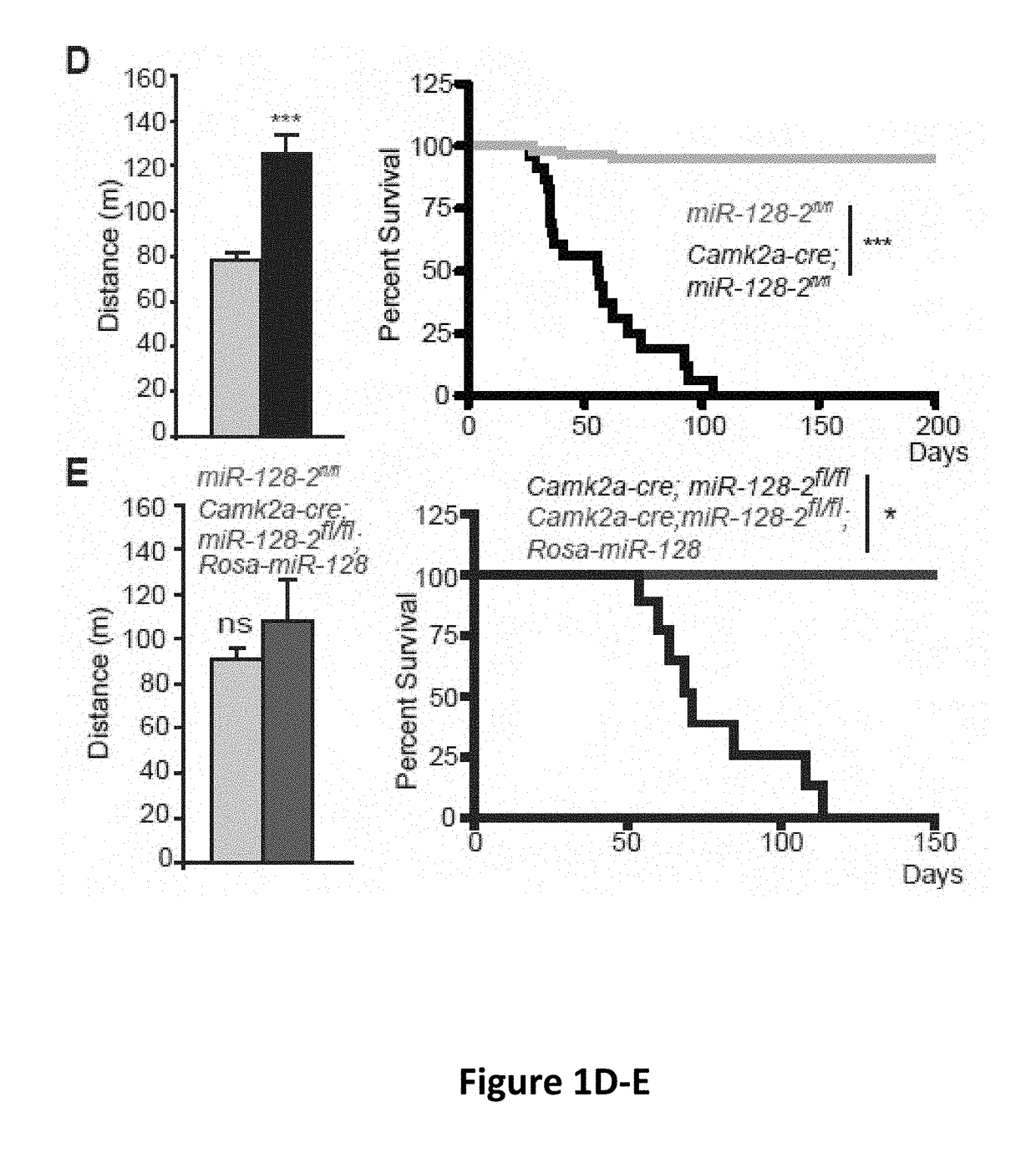 Compositions and methods for modulating neuronal excitability and motor behavior