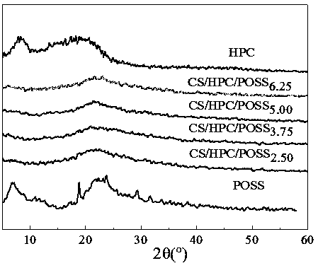 Injectable organosilicone/chitosan nanocomposite hydrogel as well as preparation method and application thereof