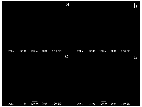 Injectable organosilicone/chitosan nanocomposite hydrogel as well as preparation method and application thereof