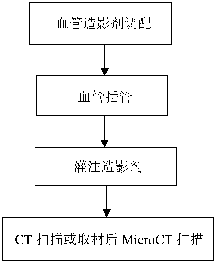 Tissue engineering bone blood vessel radiography method and blood vessel intubation tube