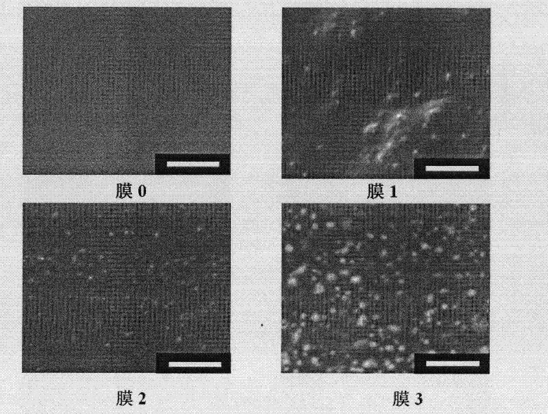 Polydimethylsiloxane/silicon dioxide hybrid membrane and preparation method thereof