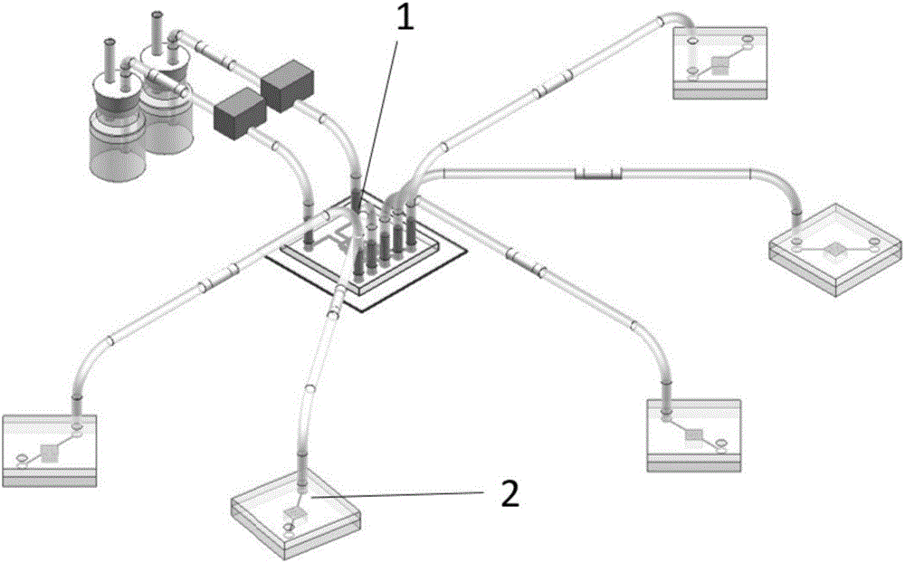 Chip-level three-dimensional dynamic drug detection system, culture device and use method thereof