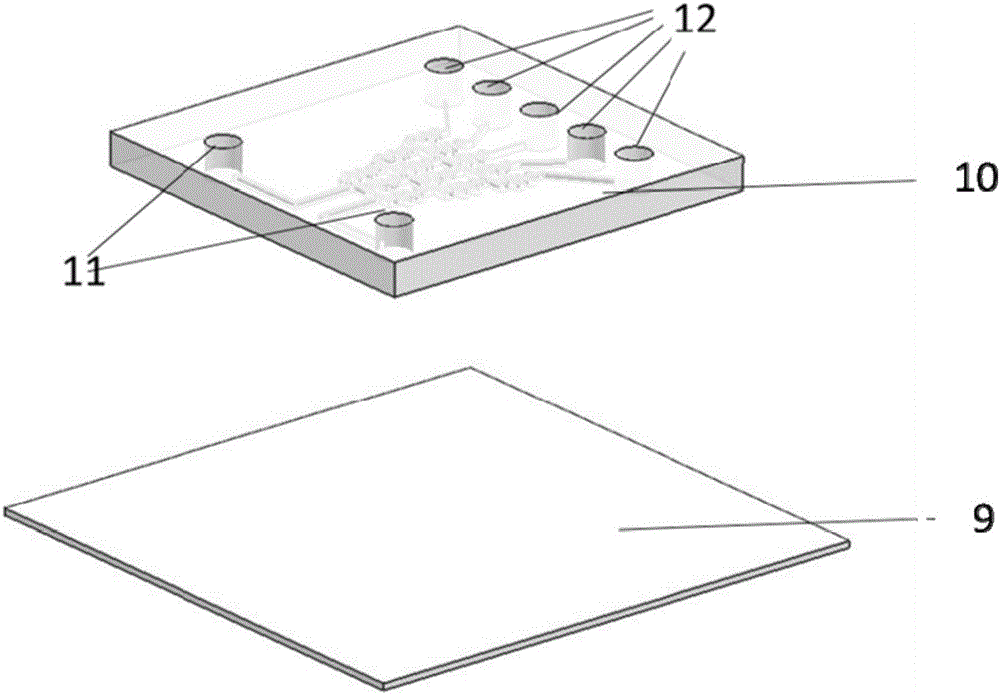 Chip-level three-dimensional dynamic drug detection system, culture device and use method thereof