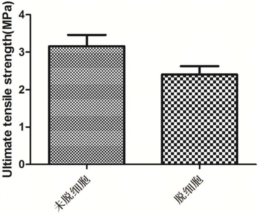 Kit and method for permanently keeping artificial blood vessel smooth